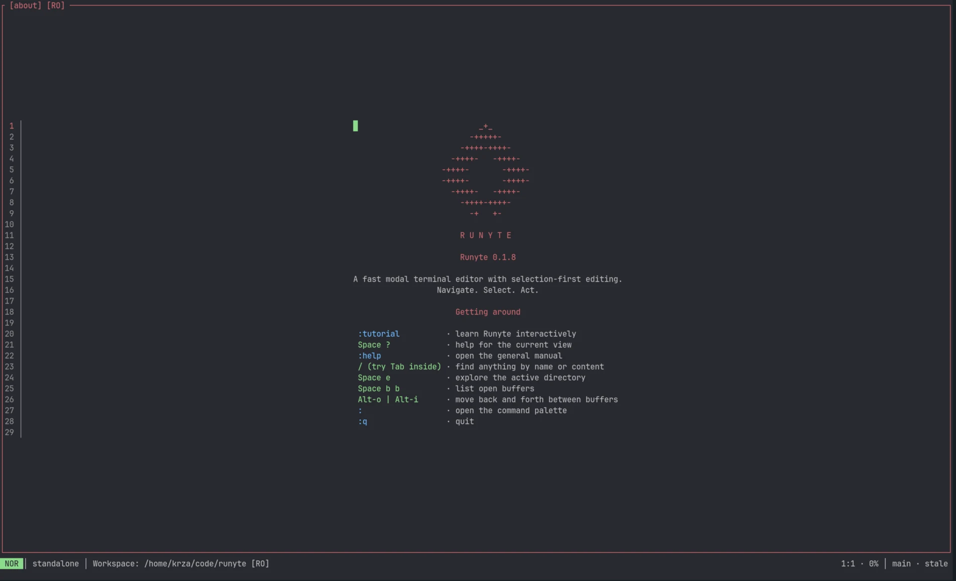Runyte About screen showing the logo, version number, and getting-started keyboard shortcuts.